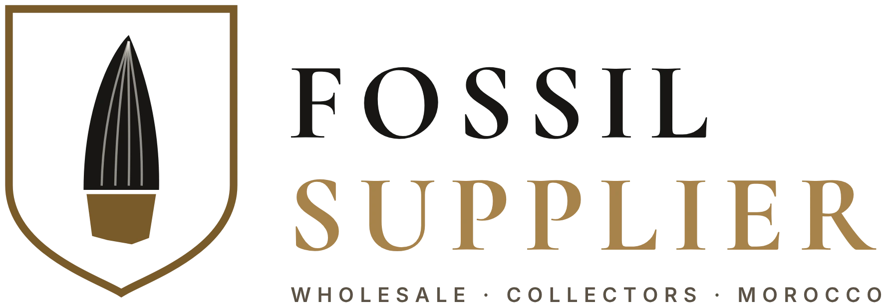 FossilSupplier.com – wholesale and collector fossils from Morocco