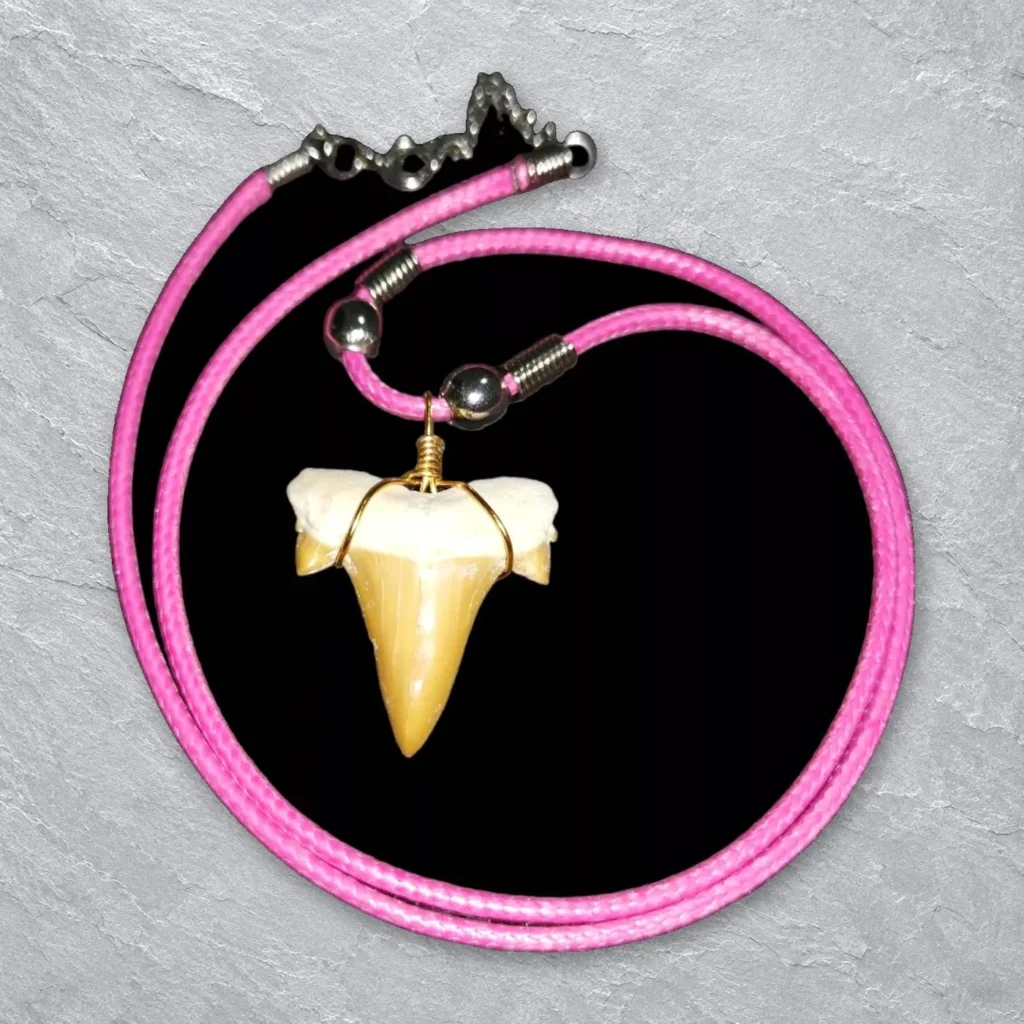 Shark Tooth Necklaces & Wrapped Pendants – real wholesale lot photographed by the supplier